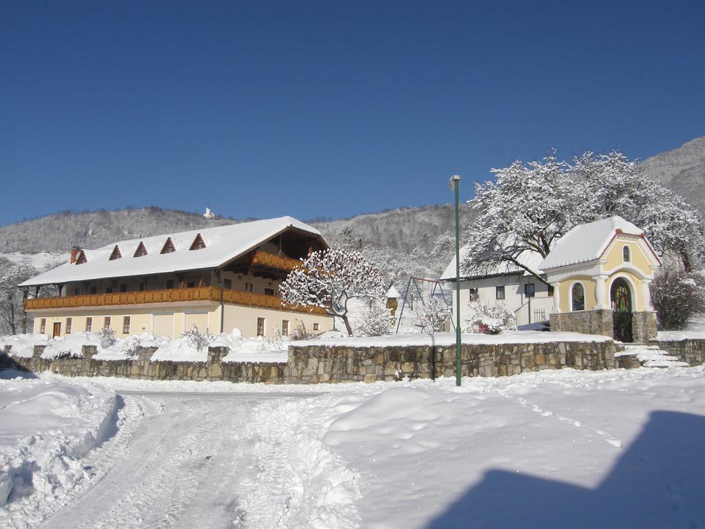 Guesthouse Mocivnik Okroglice エクステリア 写真